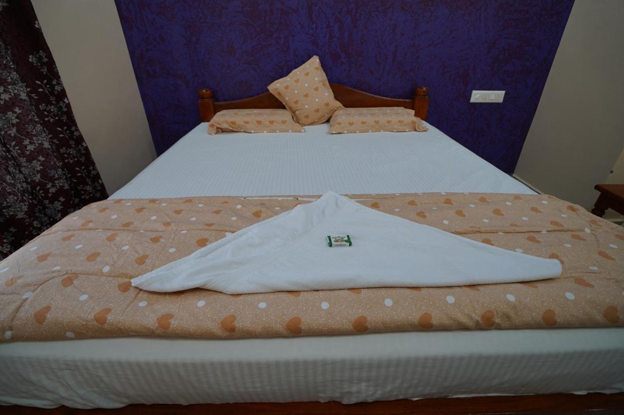 Akash Homestay ハンピ エクステリア 写真